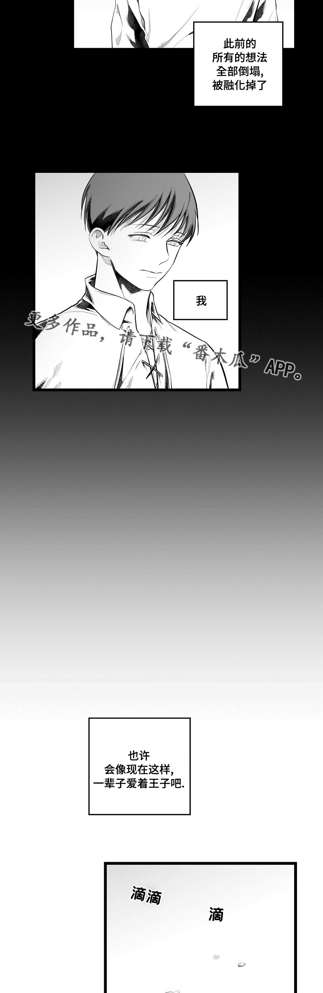 《巫师与王子》漫画最新章节第91章：未来免费下拉式在线观看章节第【2】张图片