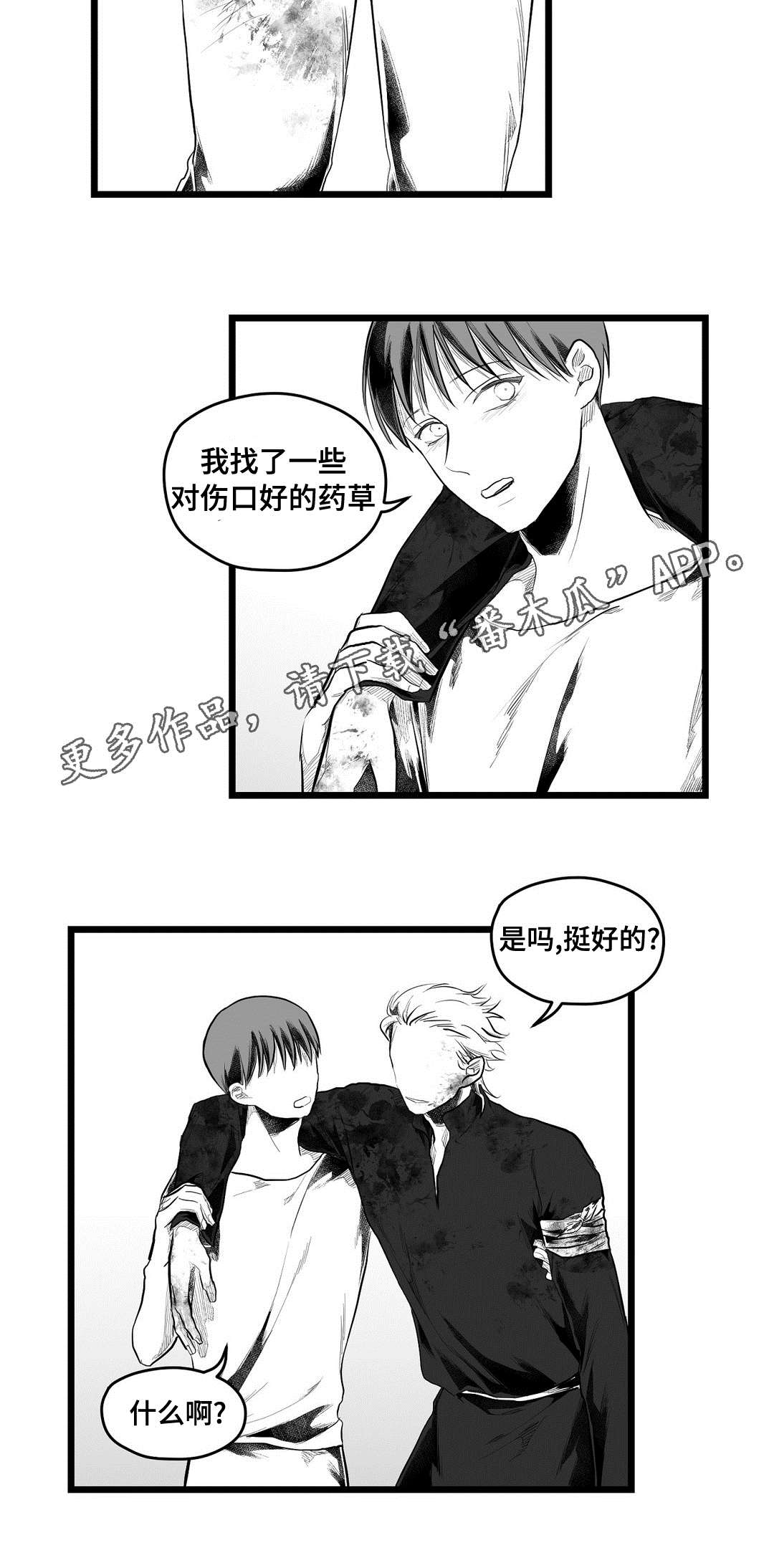 《巫师与王子》漫画最新章节第91章：未来免费下拉式在线观看章节第【11】张图片