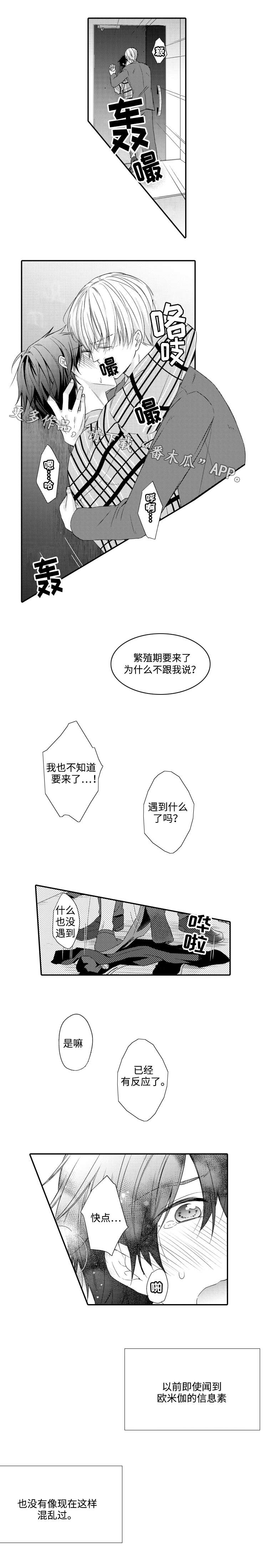 《缔结》漫画最新章节第11章：期待免费下拉式在线观看章节第【3】张图片