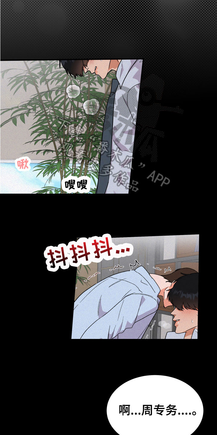 《诅咒之恋》漫画最新章节第18章：恋爱免费下拉式在线观看章节第【14】张图片