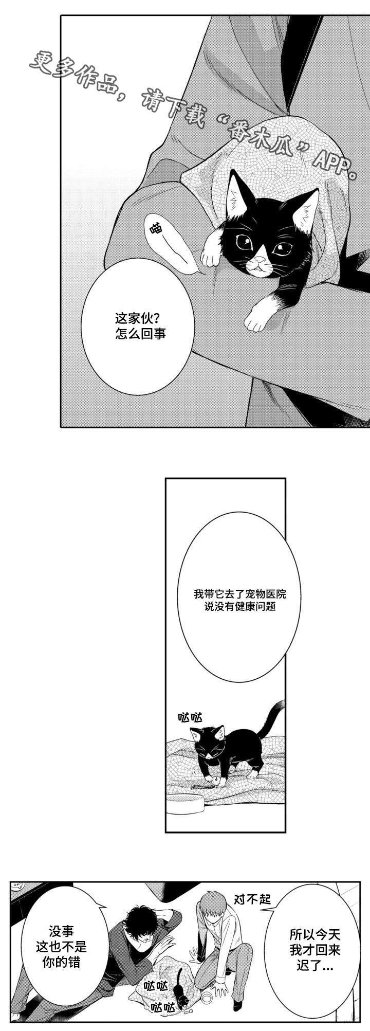 《情不宜迟》漫画最新章节第56章：养猫免费下拉式在线观看章节第【4】张图片