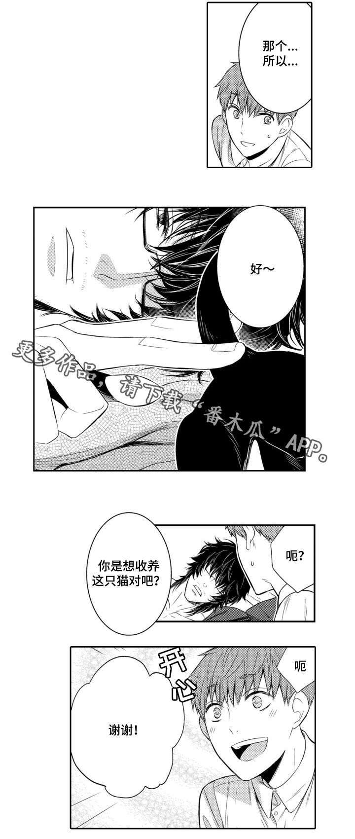 《情不宜迟》漫画最新章节第56章：养猫免费下拉式在线观看章节第【3】张图片