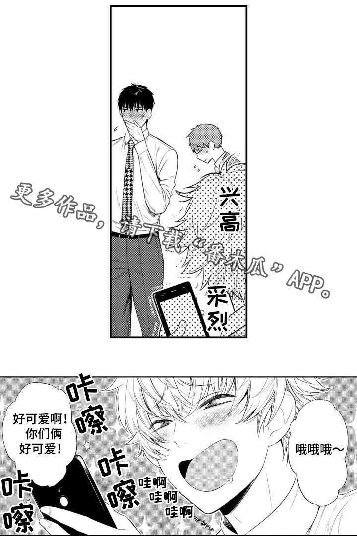 《情不宜迟》漫画最新章节第62章：照片免费下拉式在线观看章节第【1】张图片