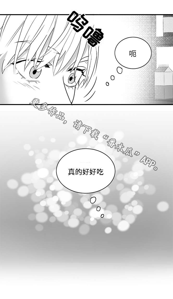 《同命相怜》漫画最新章节第8章：好奇免费下拉式在线观看章节第【4】张图片