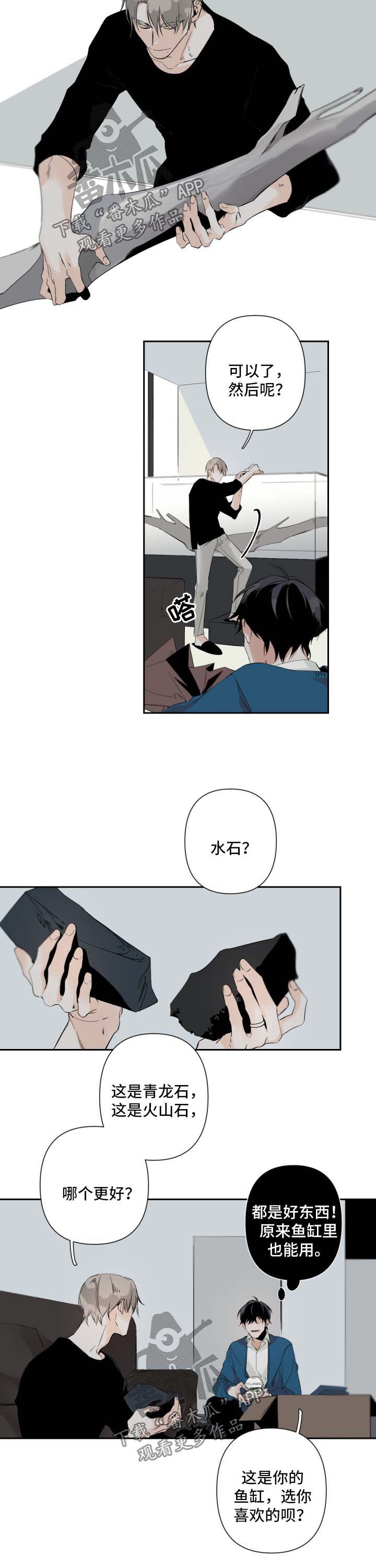 《从属》漫画最新章节第58章：鱼缸环境免费下拉式在线观看章节第【2】张图片