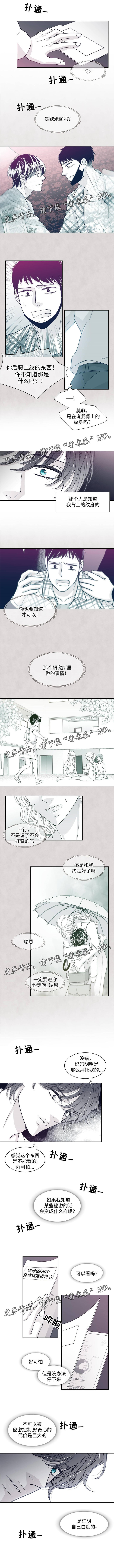 《青年瑞恩》漫画最新章节第56章：触手可及的秘密免费下拉式在线观看章节第【4】张图片