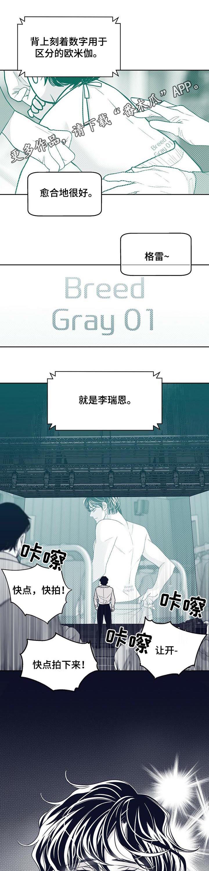 《青年瑞恩》漫画最新章节第131章：硬闯免费下拉式在线观看章节第【11】张图片