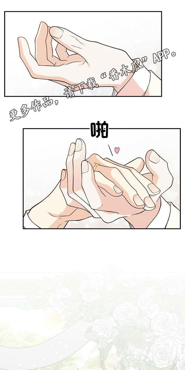 《青年瑞恩》漫画最新章节第235章：【番外】新婚旅行免费下拉式在线观看章节第【30】张图片