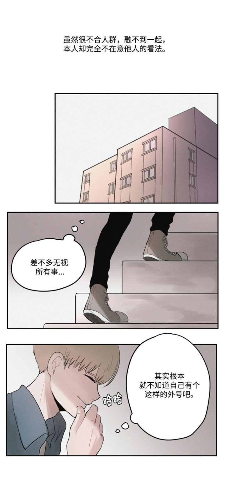 《隐藏角色》漫画最新章节第1章：谜一样的男孩免费下拉式在线观看章节第【4】张图片