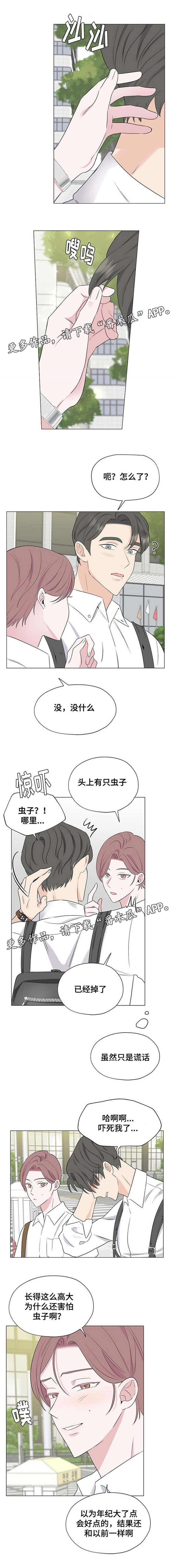 《消融》漫画最新章节第17章：这是什么免费下拉式在线观看章节第【8】张图片