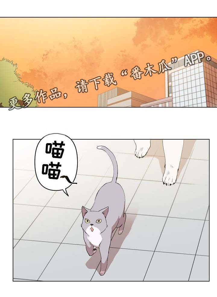 《房主归来》漫画最新章节第32章：秀恩爱免费下拉式在线观看章节第【11】张图片