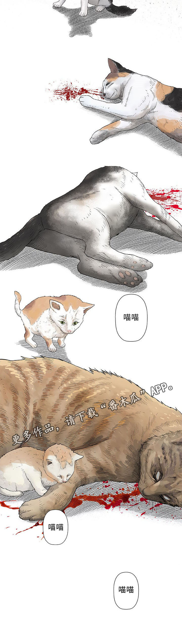 《易乐》漫画最新章节第28章：寻找免费下拉式在线观看章节第【23】张图片