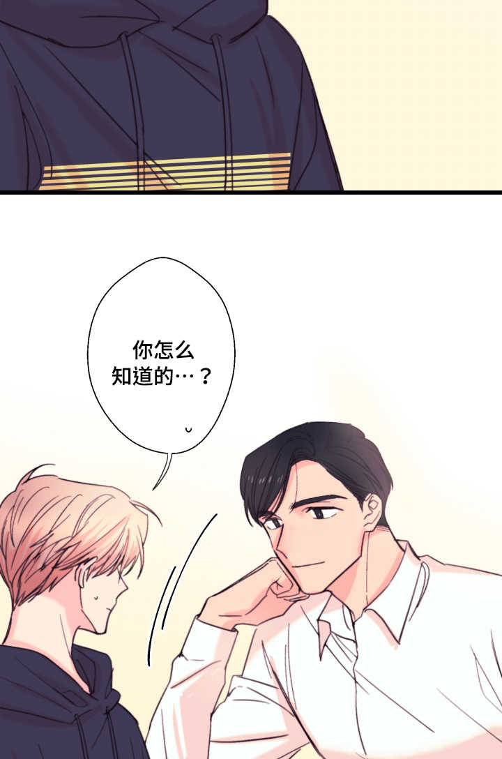 《此处心安》漫画最新章节第19章：约定免费下拉式在线观看章节第【11】张图片