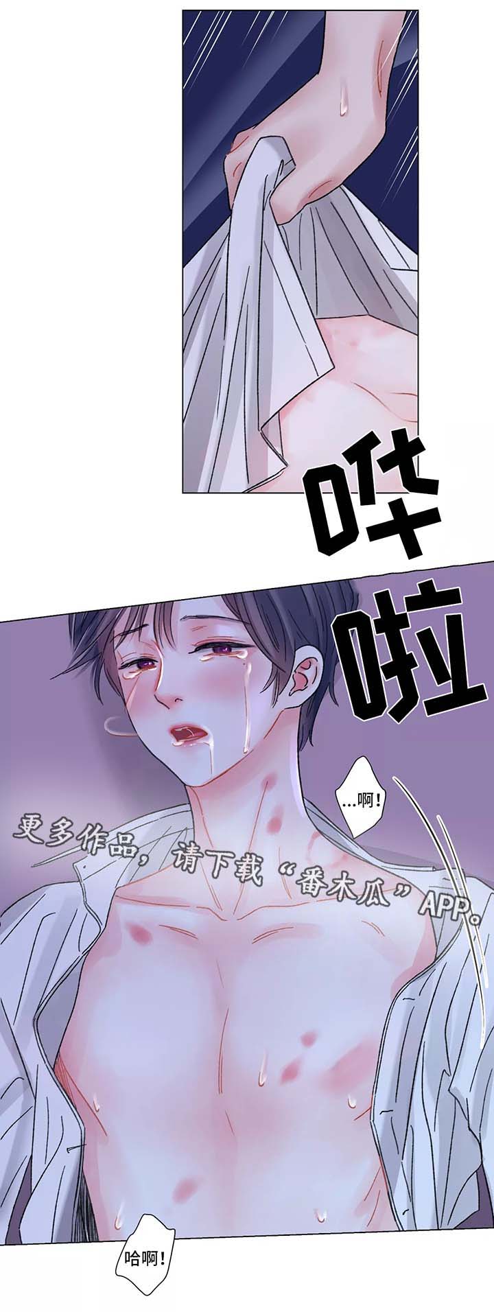 《接纳者》漫画最新章节第51章：对不起免费下拉式在线观看章节第【12】张图片