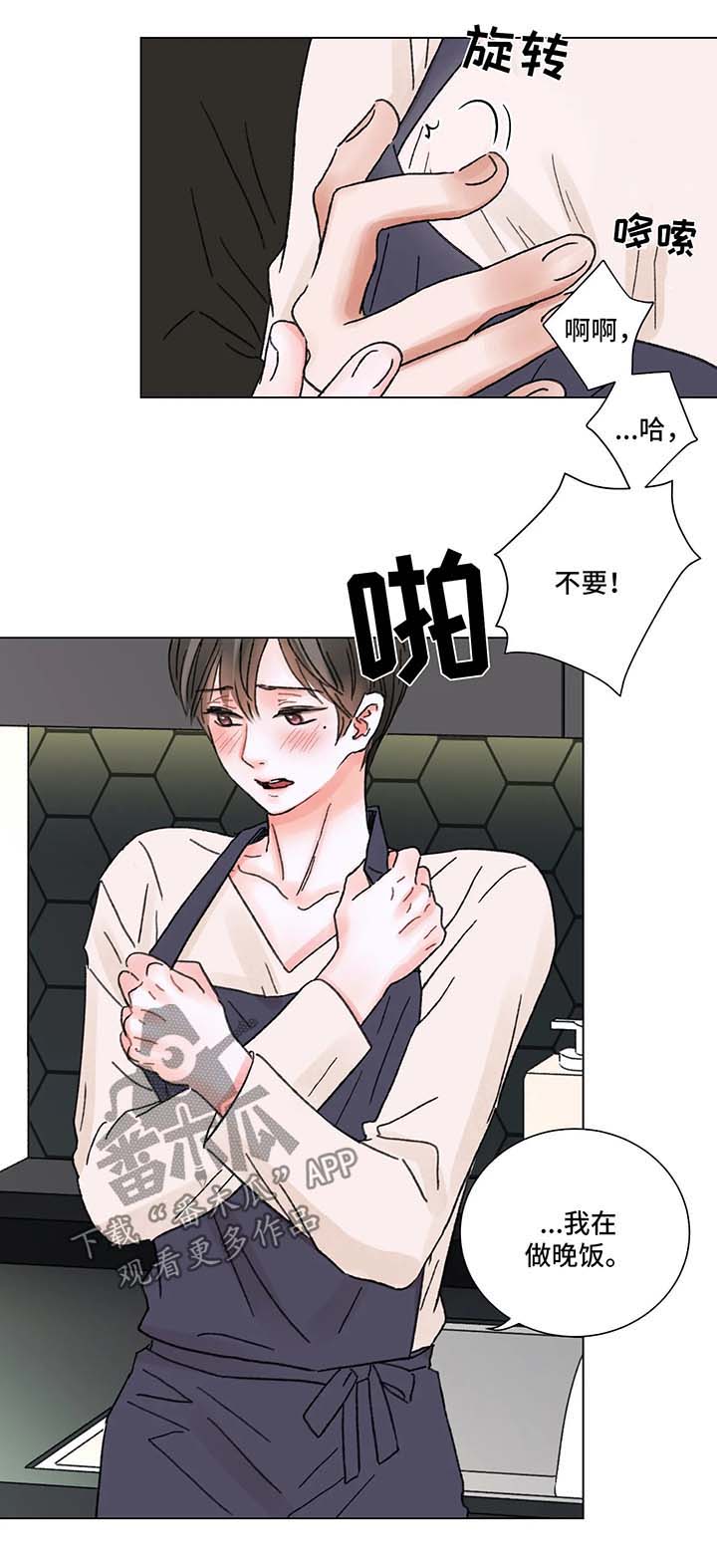 《接纳者》漫画最新章节第59章：回归免费下拉式在线观看章节第【4】张图片