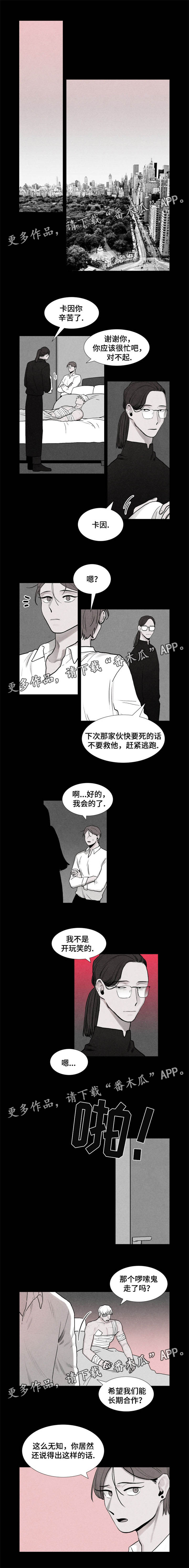 《落幕》漫画最新章节第11章：受伤免费下拉式在线观看章节第【3】张图片