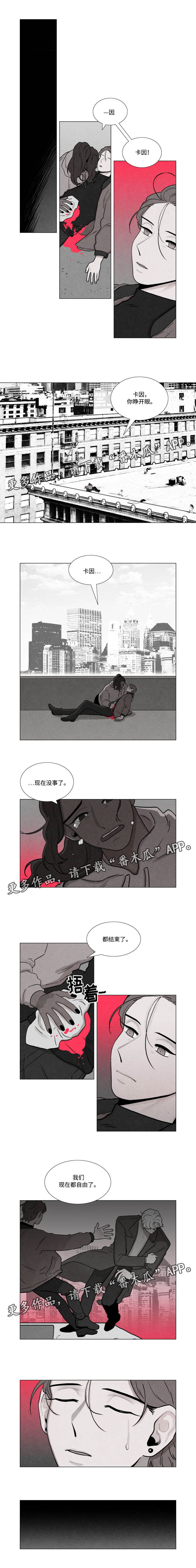 《落幕》漫画最新章节第29章：暗杀免费下拉式在线观看章节第【1】张图片