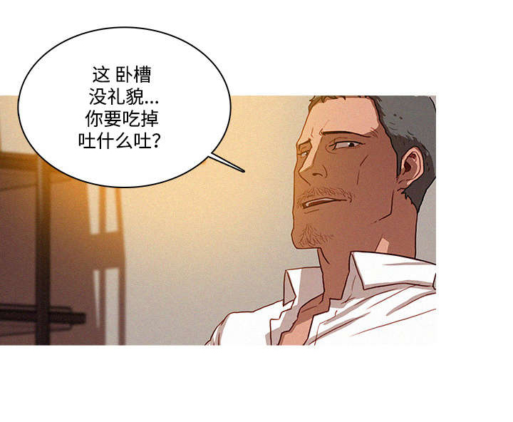 《乘风兴浪》漫画最新章节第2章：可惜免费下拉式在线观看章节第【11】张图片