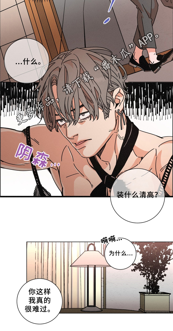 《困局逃脱》漫画最新章节第38章：是我做错了免费下拉式在线观看章节第【12】张图片