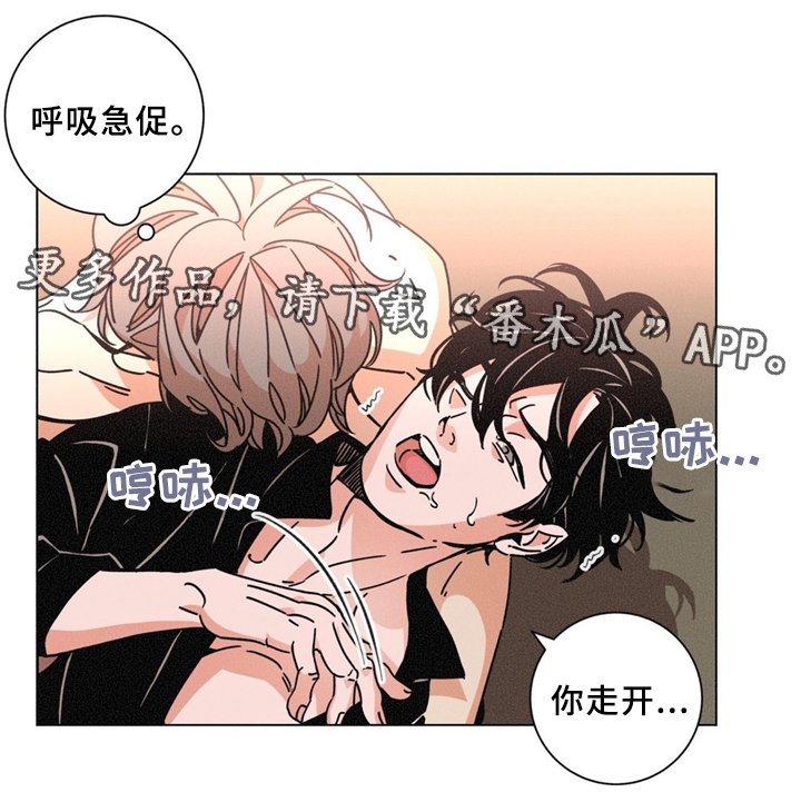 《困局逃脱》漫画最新章节第38章：是我做错了免费下拉式在线观看章节第【4】张图片