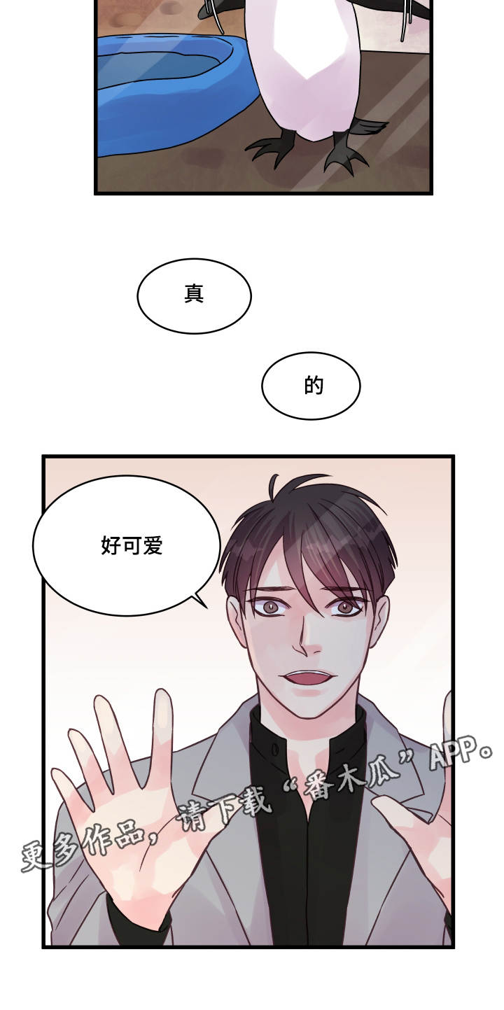 《虚情校园》漫画最新章节第68章：企鹅免费下拉式在线观看章节第【12】张图片