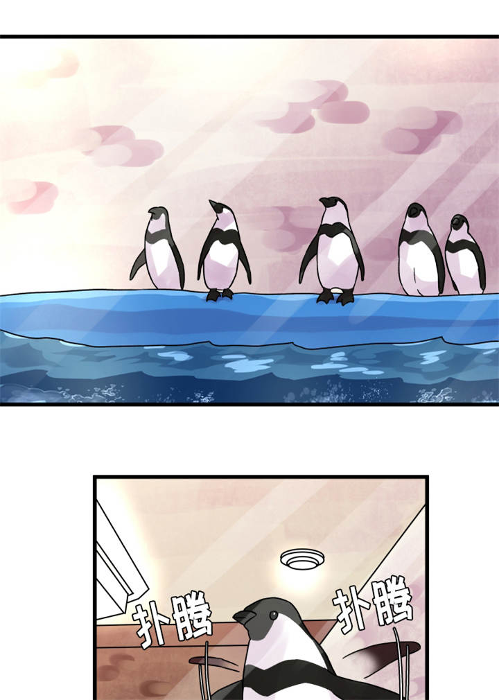虚情校园-第68章：企鹅全彩韩漫标签