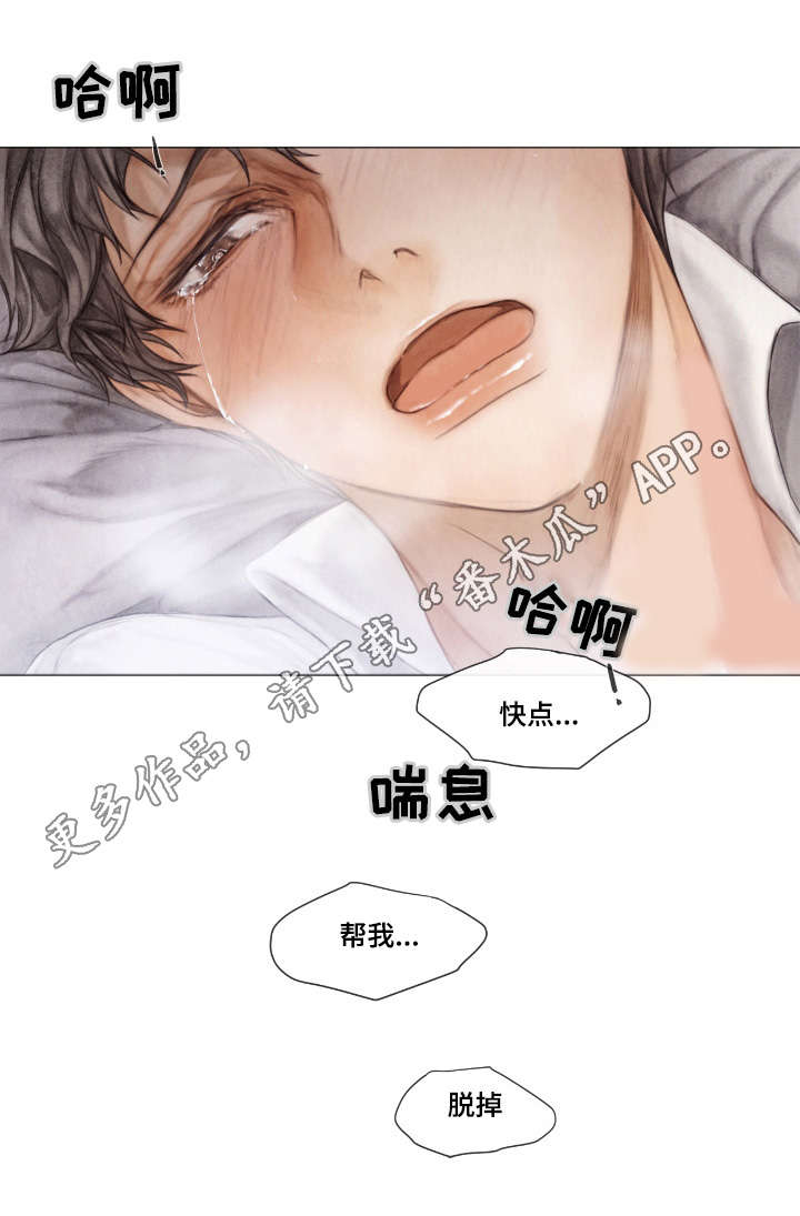 《援救策划》漫画最新章节第20章：罪魁祸首免费下拉式在线观看章节第【4】张图片