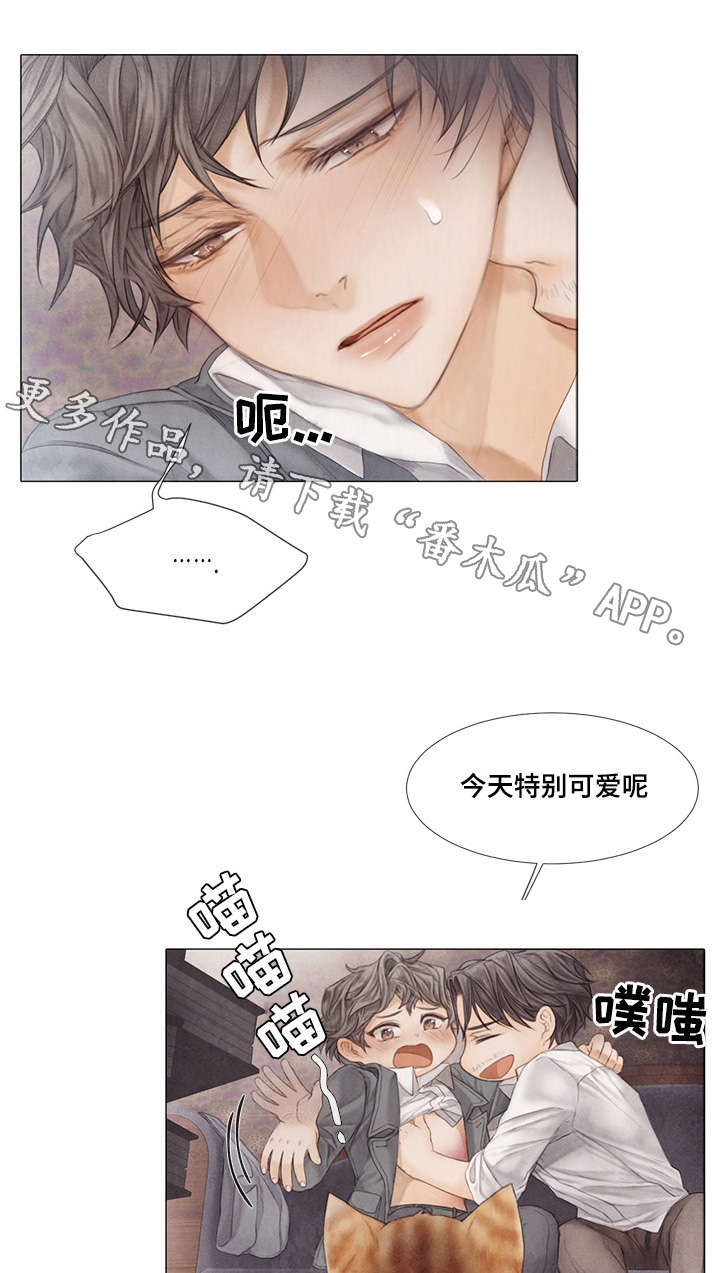 《援救策划》漫画最新章节第33章：癖好免费下拉式在线观看章节第【2】张图片