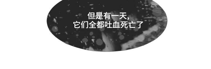 《援救策划》漫画最新章节第35章：看望免费下拉式在线观看章节第【1】张图片