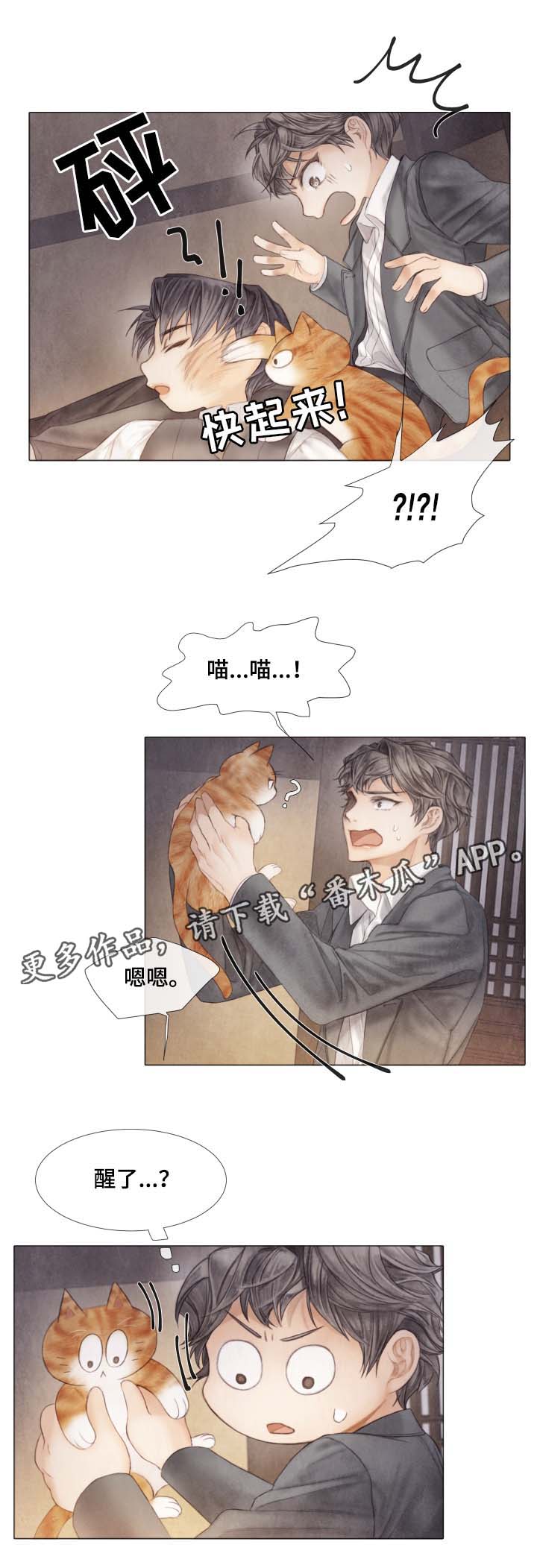 《援救策划》漫画最新章节第42章：从未许诺给你免费下拉式在线观看章节第【3】张图片