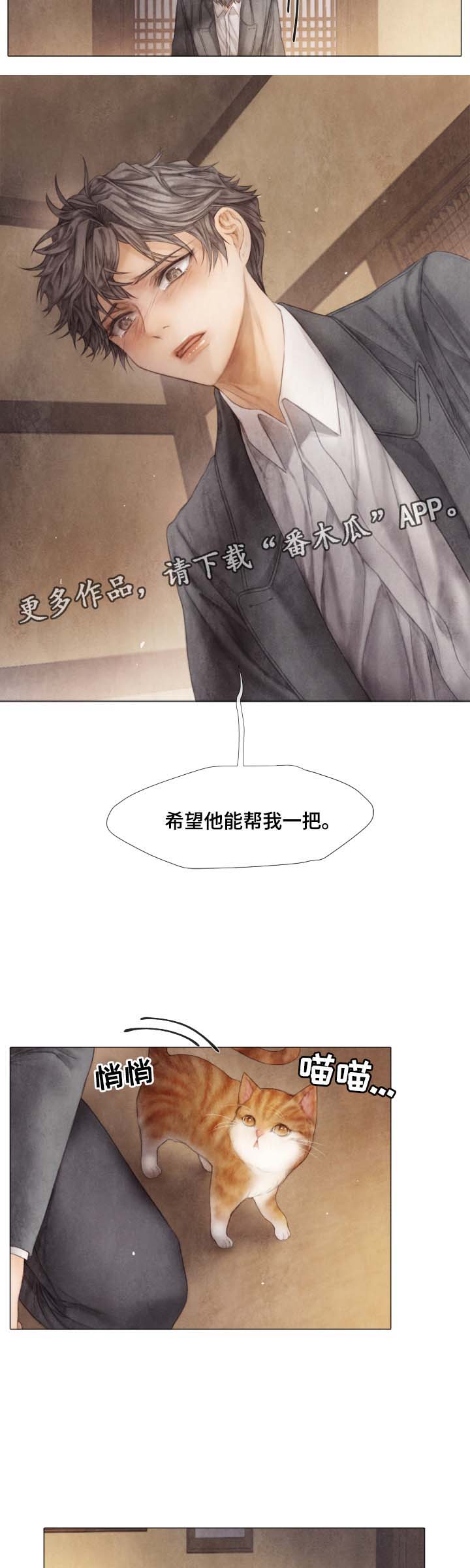 《援救策划》漫画最新章节第43章：无辜免费下拉式在线观看章节第【2】张图片