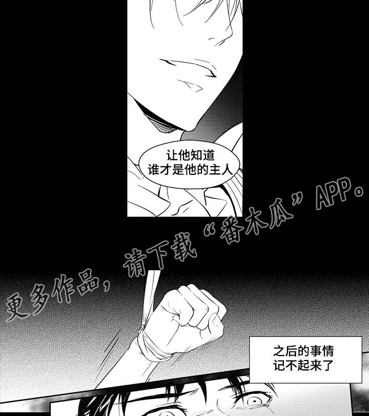 《固执探寻》漫画最新章节第6章：刺痛免费下拉式在线观看章节第【9】张图片