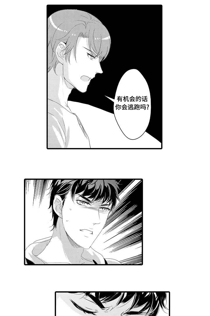 《固执探寻》漫画最新章节第37章：无法回头免费下拉式在线观看章节第【3】张图片