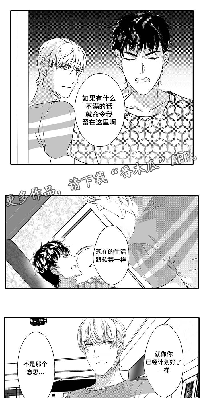 《固执探寻》漫画最新章节第37章：无法回头免费下拉式在线观看章节第【11】张图片