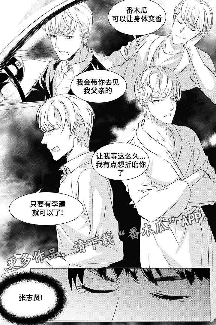 《固执探寻》漫画最新章节第40章：开始行动免费下拉式在线观看章节第【10】张图片