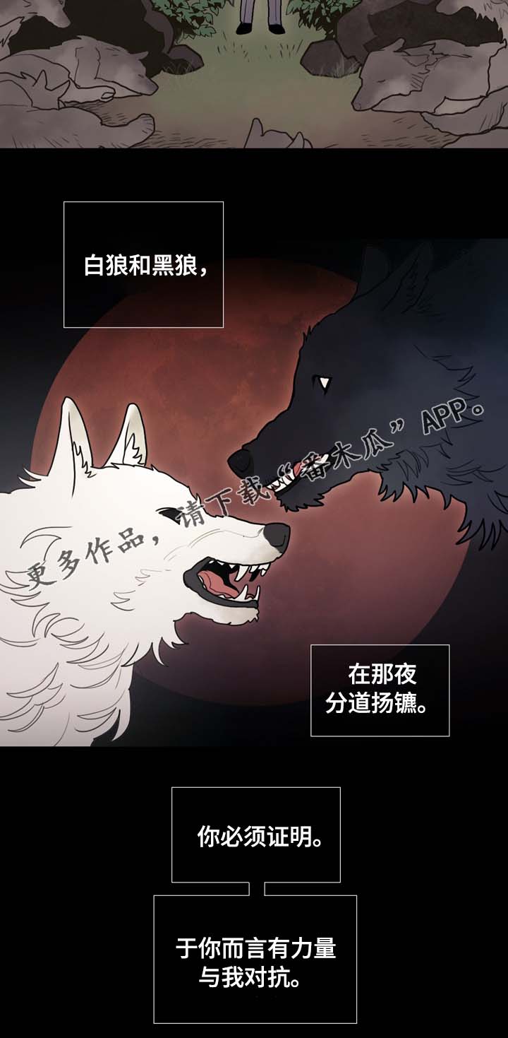 《拯救神父》漫画最新章节第65章：白狼免费下拉式在线观看章节第【1】张图片