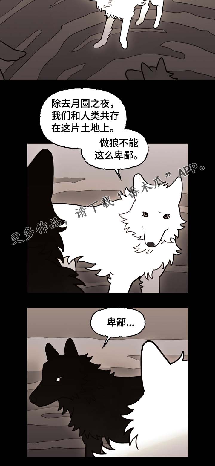 《拯救神父》漫画最新章节第66章：狼族秘辛免费下拉式在线观看章节第【6】张图片