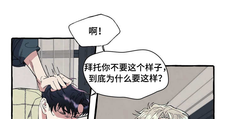 《隐藏》漫画最新章节第10章：犯罪免费下拉式在线观看章节第【6】张图片