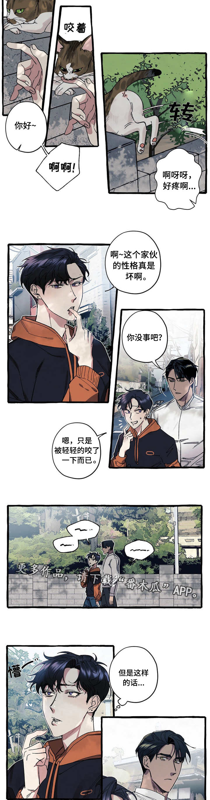 《隐藏》漫画最新章节第17章：可爱免费下拉式在线观看章节第【3】张图片