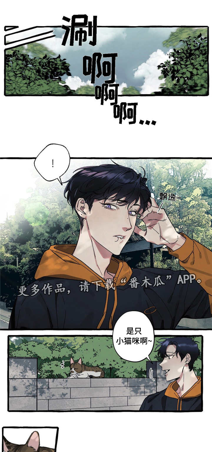 《隐藏》漫画最新章节第17章：可爱免费下拉式在线观看章节第【4】张图片