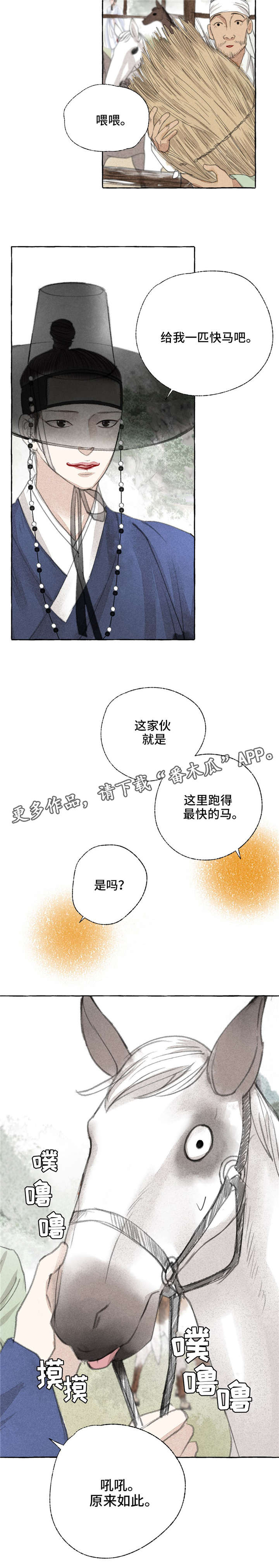 《冒险秘密》漫画最新章节第16章：准备免费下拉式在线观看章节第【1】张图片