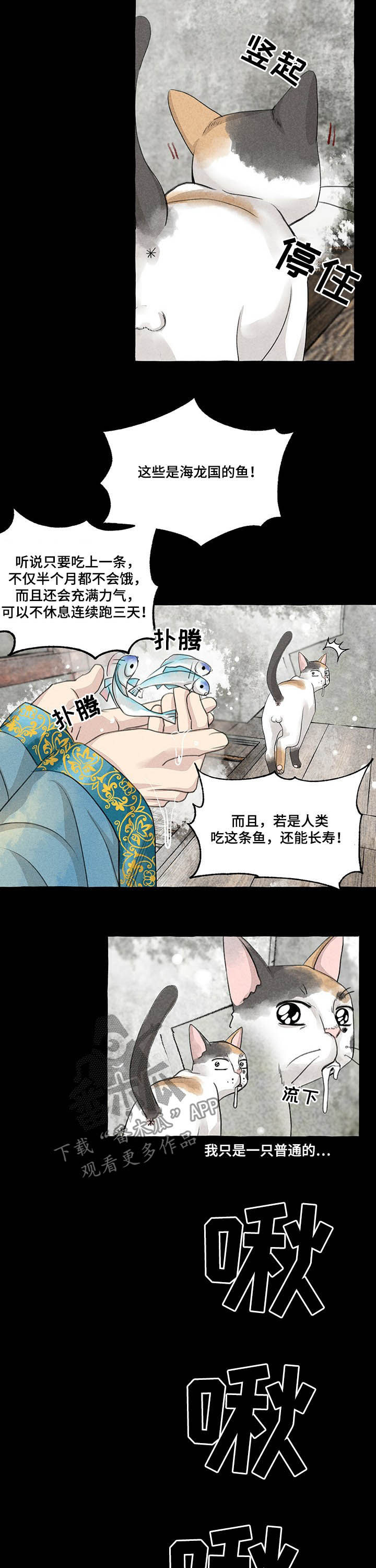 《冒险秘密》漫画最新章节第104章：悬崖免费下拉式在线观看章节第【6】张图片