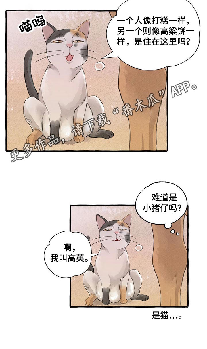 《冒险秘密》漫画最新章节第119章：悲伤免费下拉式在线观看章节第【1】张图片