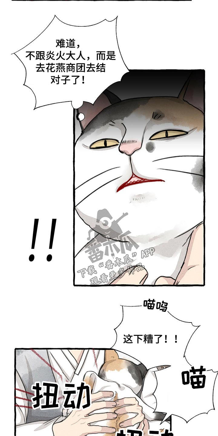 《冒险秘密》漫画最新章节第128章：猫咪免费下拉式在线观看章节第【5】张图片