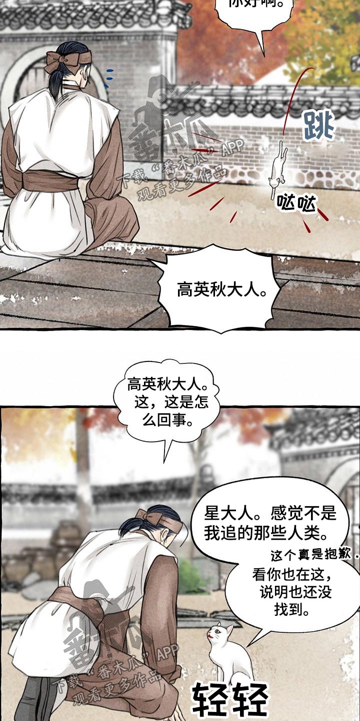 《冒险秘密》漫画最新章节第128章：猫咪免费下拉式在线观看章节第【17】张图片