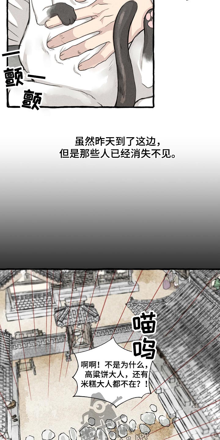 《冒险秘密》漫画最新章节第128章：猫咪免费下拉式在线观看章节第【12】张图片