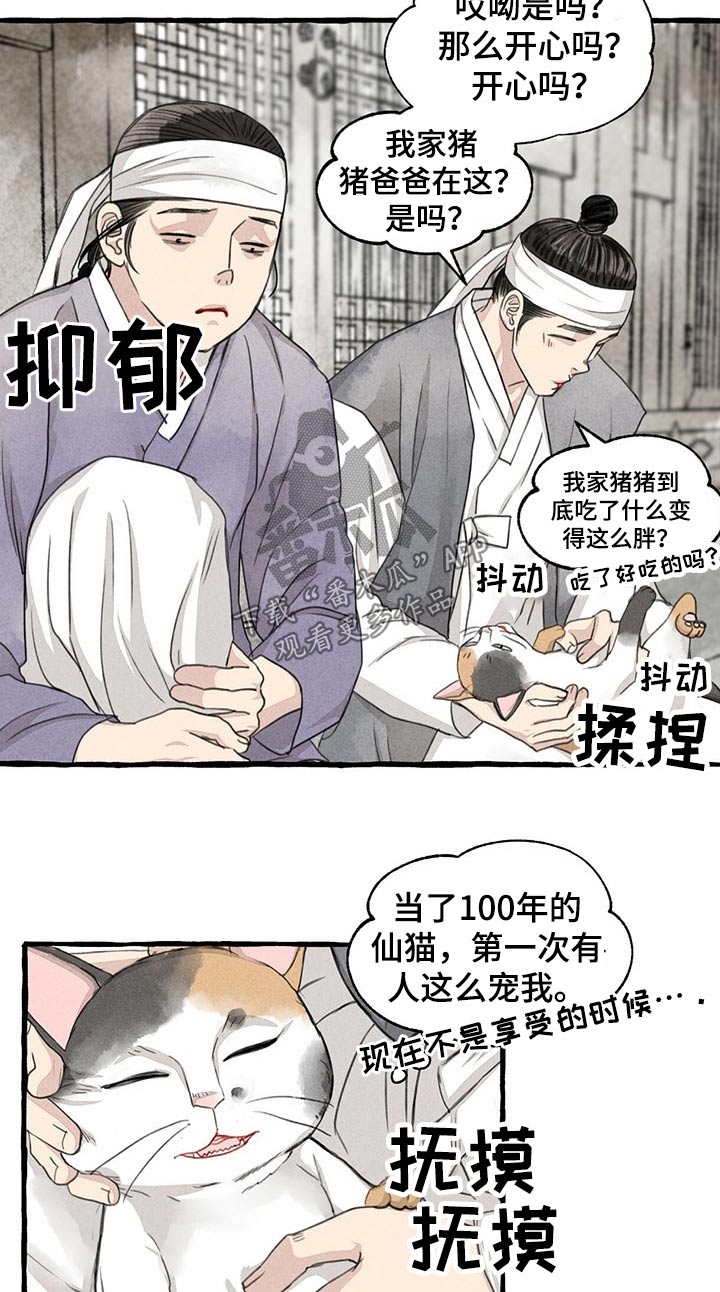 《冒险秘密》漫画最新章节第128章：猫咪免费下拉式在线观看章节第【13】张图片