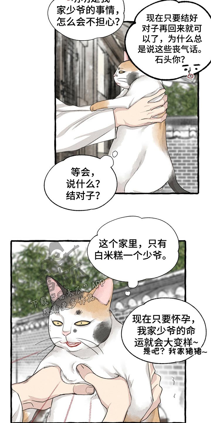 《冒险秘密》漫画最新章节第128章：猫咪免费下拉式在线观看章节第【6】张图片