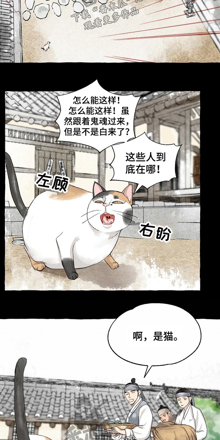 《冒险秘密》漫画最新章节第128章：猫咪免费下拉式在线观看章节第【11】张图片