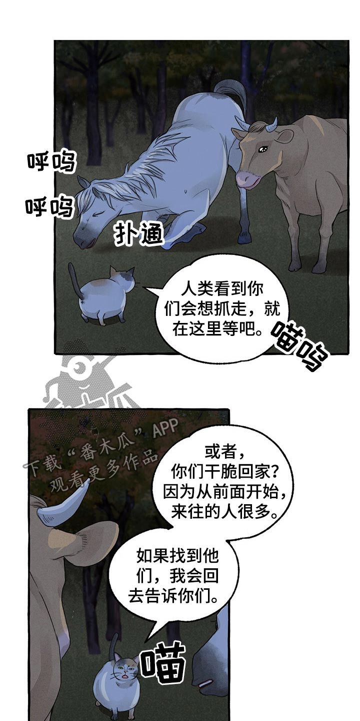 《冒险秘密》漫画最新章节第137章：亲自出马免费下拉式在线观看章节第【5】张图片